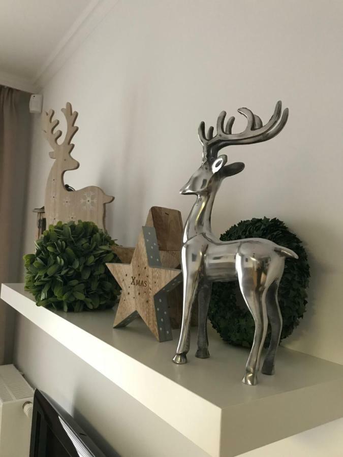 Apartament Stella Park 스타르가르드 시체신스키 외부 사진